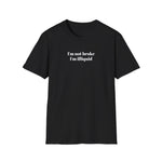 Load image into Gallery viewer, I'm Not Broke I'm Illiquid T-Shirt